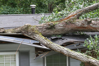 Storm Damage Restoration Indianapolis