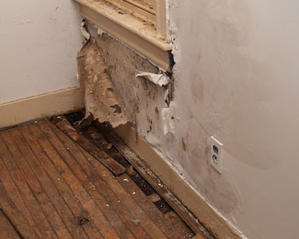 Water Damage Restoration Indianapolis