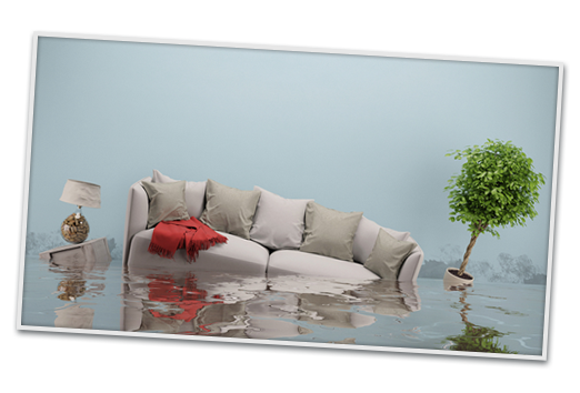 Learn More About Water Damage Restoration in Indianapolis