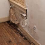 Prevent Costly Water Damage