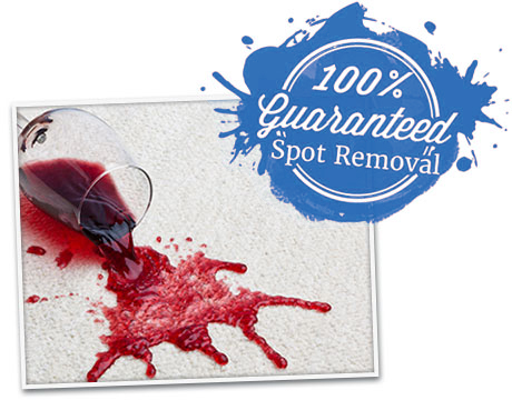 Carpet Cleaners Indianapolis