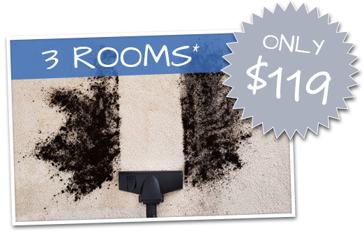 Learn More About Carpet Cleaning Specials in Indianapolis