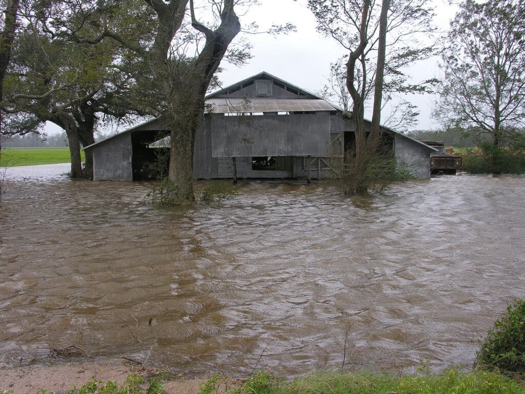 Storm damage recovery