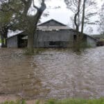 Storm damage recovery